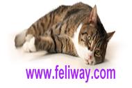 feliway