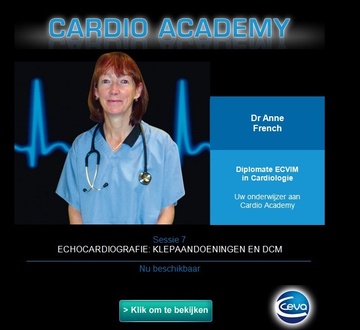 module 7 cardio academy